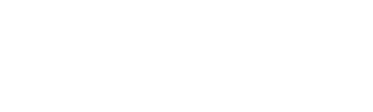 Pivotal Metals